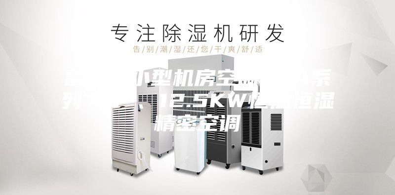 雷迪司小型機房空調LSA系列7.5 、12.5KW恒溫恒濕精密空調
