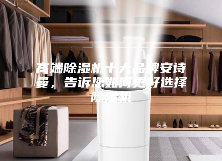 高端除濕機十大品牌安詩曼，告訴您如何更好選擇除濕機