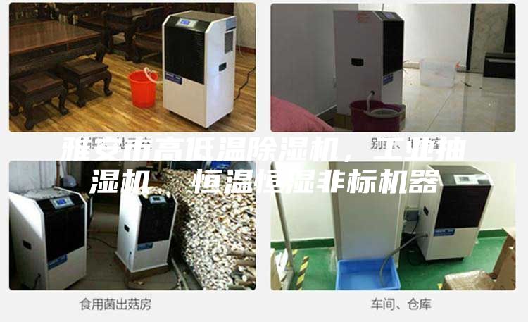 雅安市高低溫除濕機，工業抽濕機  恒溫恒濕非標機器