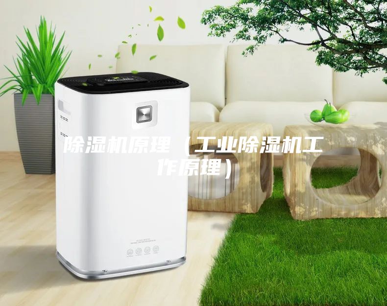 除濕機原理（工業除濕機工作原理）