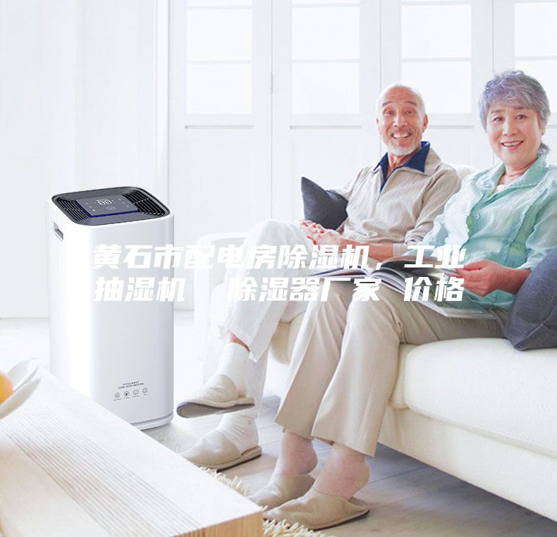 黃石市配電房除濕機，工業抽濕機  除濕器廠家 價格