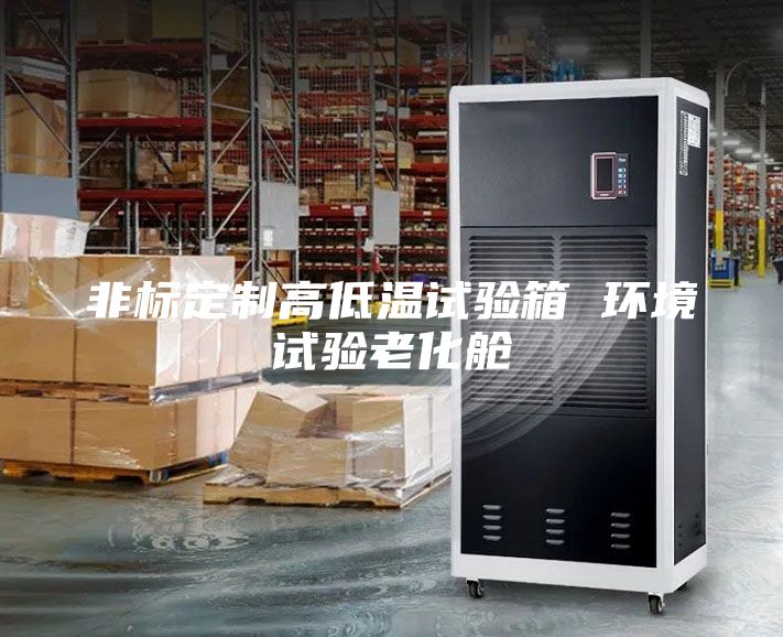 非標定制高低溫試驗箱 環境試驗老化艙