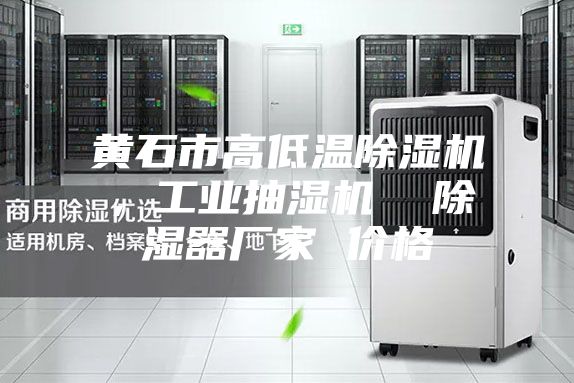 黃石市高低溫除濕機，工業抽濕機  除濕器廠家 價格