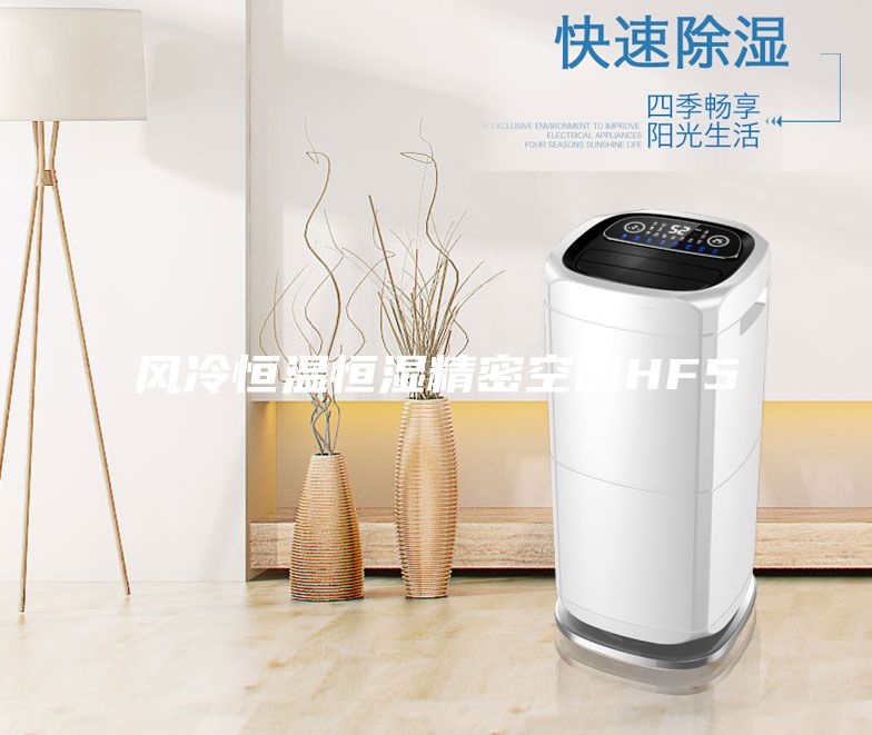風冷恒溫恒濕精密空調HF5