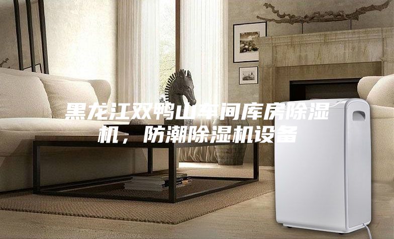 黑龍江雙鴨山車間庫房除濕機，防潮除濕機設備