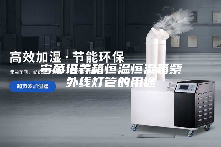 霉菌培養箱恒溫恒濕箱紫外線燈管的用途