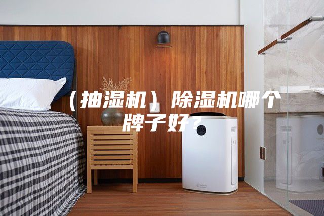 （抽濕機）除濕機哪個牌子好？