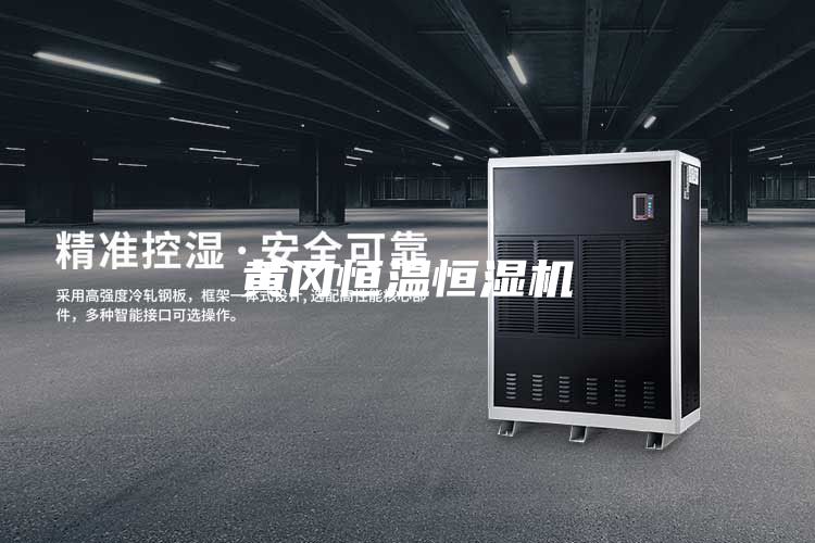 黃岡恒溫恒濕機