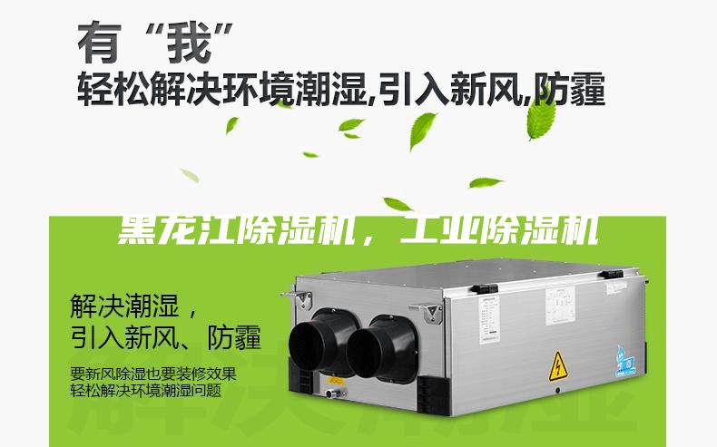 黑龍江除濕機，工業除濕機