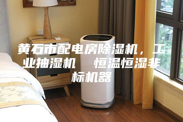 黃石市配電房除濕機，工業抽濕機  恒溫恒濕非標機器